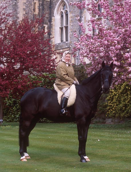 Her Majesty Riding 'St James', 2002