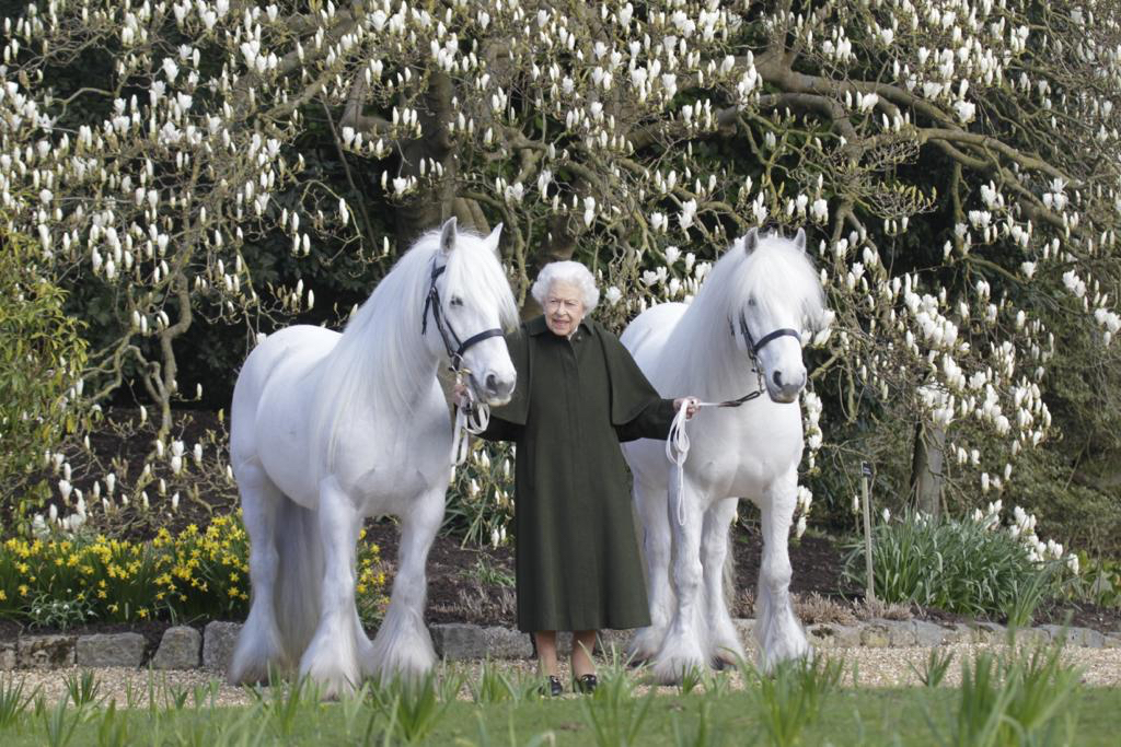 HM Queen Elizabeth 96th birthday photograph with her fell ponies, Bybeck Katie and Bybeck Nightingale.