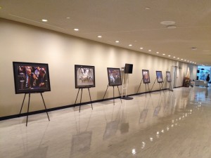 Exhibition 41          